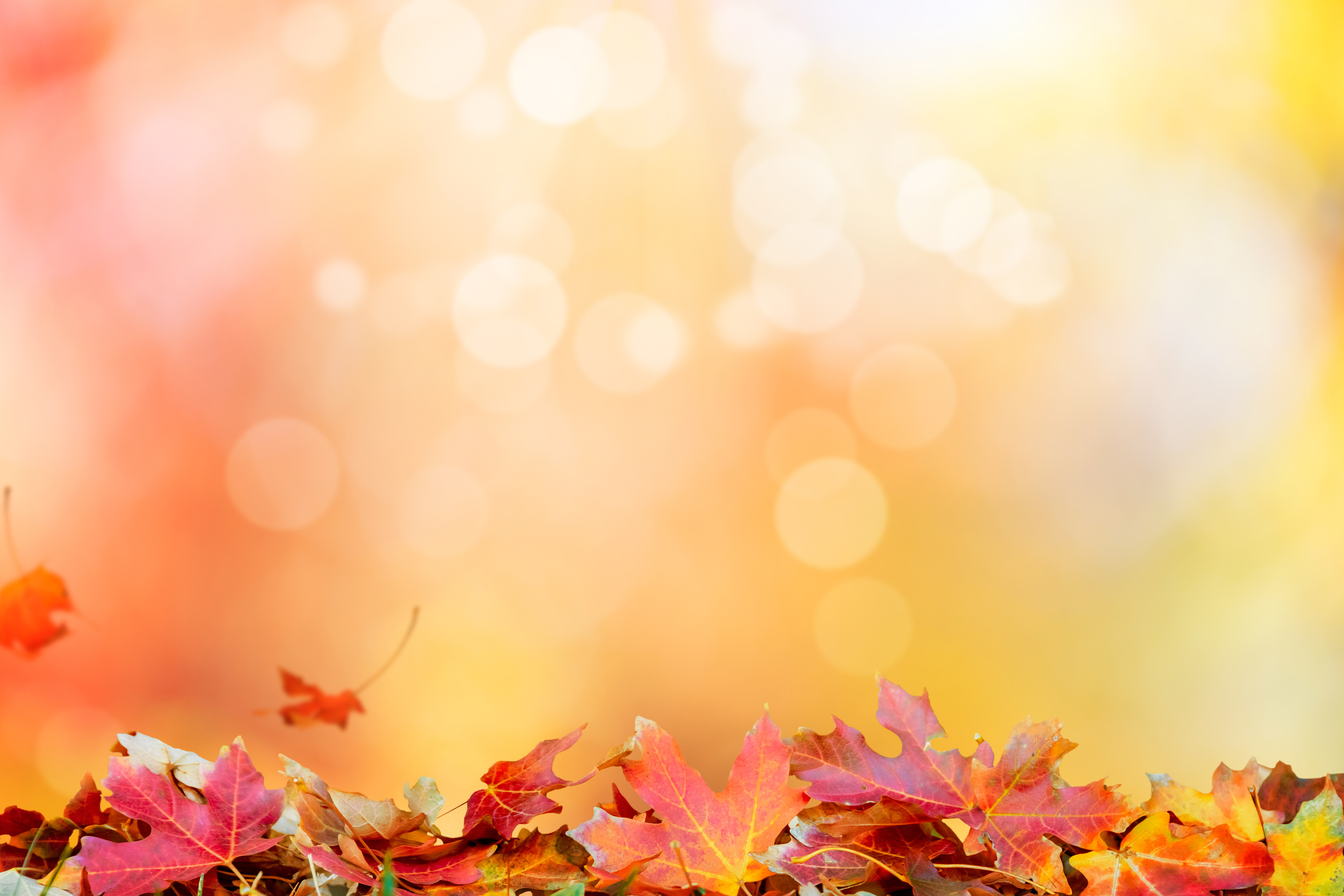 Autumn background